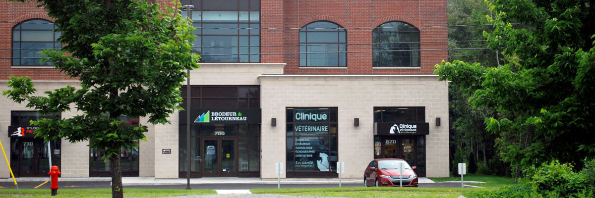 Clinique vétérinaire à Saint-Hilaire